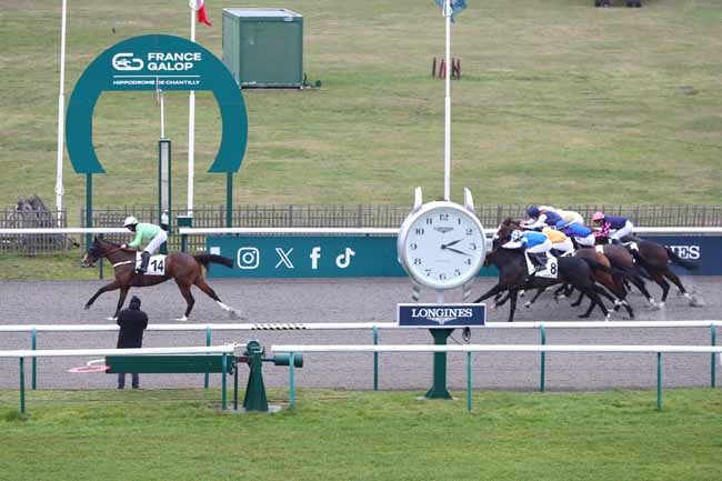 Photo d'arrivée de la course pmu PRIX DES MENHIRS DES INDROLLES à CHANTILLY le Samedi 31 janvier 2026