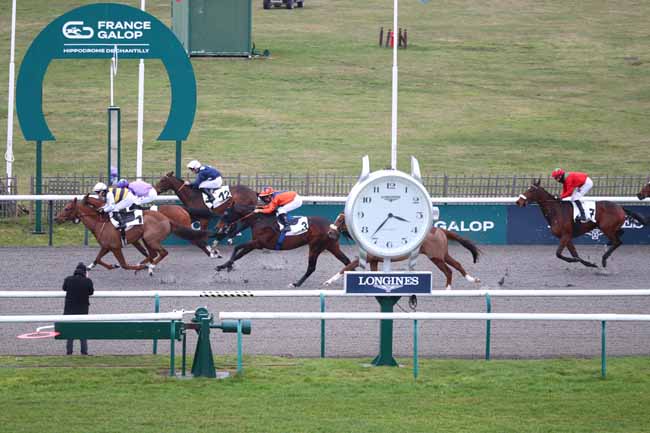 Photo d'arrivée de la course pmu PRIX DE LA ROUTE DU LUDE à CHANTILLY le Samedi 31 janvier 2026