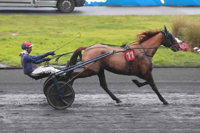 Photo d'arrivée de la course pmu PRIX DE LA GIRONDE à PARIS-VINCENNES le Dimanche 1 février 2026