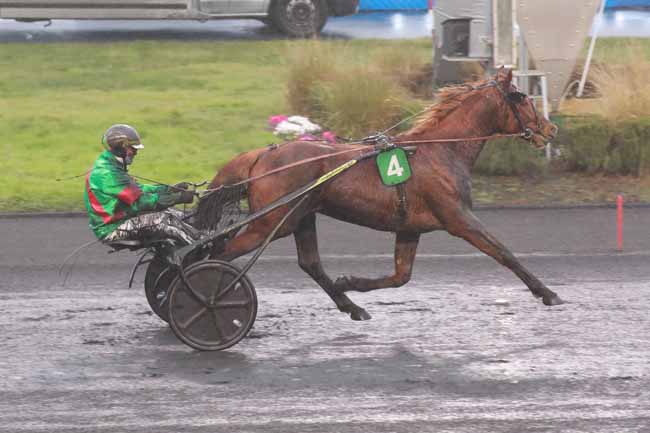 Photo d'arrivée de la course pmu PRIX DE GOURNAY-EN-BRAY à PARIS-VINCENNES le Dimanche 1 février 2026
