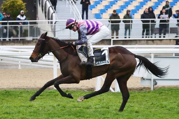 Arrivée quinté pmu PRIX DU VAR à CAGNES-SUR-MER