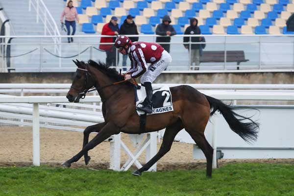 Photo d'arrivée de la course pmu PRIX DE PUYRICARD à CAGNES-SUR-MER le Lundi 2 février 2026