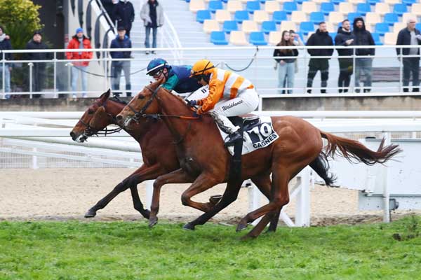 Photo d'arrivée de la course pmu PRIX DE FUVEAU à CAGNES-SUR-MER le Lundi 2 février 2026