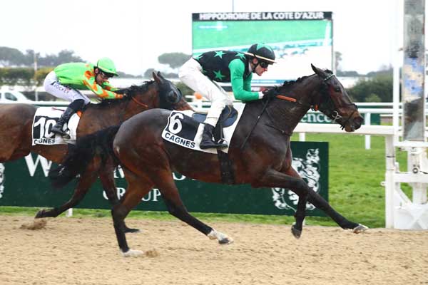 Photo d'arrivée de la course pmu PRIX DE STERREBEEK à CAGNES-SUR-MER le Lundi 2 février 2026