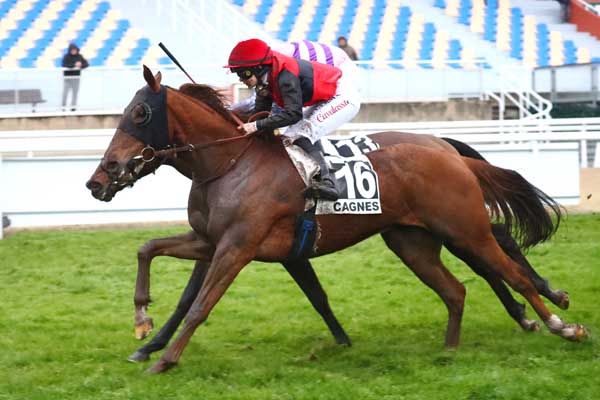 Photo d'arrivée de la course pmu PRIX DU VAUCLUSE à CAGNES-SUR-MER le Lundi 2 février 2026