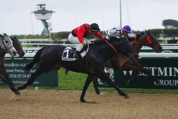 Photo d'arrivée de la course pmu PRIX D'OSTENDE à CAGNES-SUR-MER le Lundi 2 février 2026