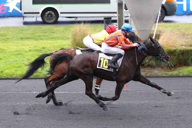 Photo d'arrivée de la course pmu PRIX DE COLMAR à PARIS-VINCENNES le Mardi 3 février 2026