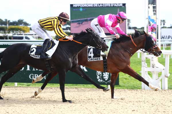 Photo d'arrivée de la course pmu PRIX DES CAMPANULES à CAGNES-SUR-MER le Mercredi 4 février 2026