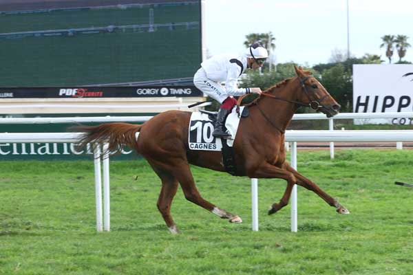 Arrivée quinté pmu PRIX DE GRASSE à CAGNES-SUR-MER