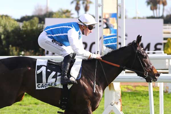 Photo d'arrivée de la course pmu PRIX DE L'ESTEREL à CAGNES-SUR-MER le Mercredi 4 février 2026