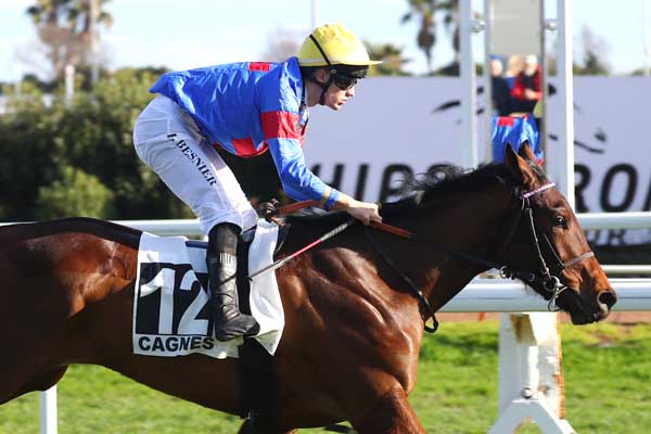 Photo d'arrivée de la course pmu PRIX DES MAURES à CAGNES-SUR-MER le Mercredi 4 février 2026