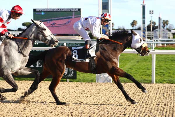 Photo d'arrivée de la course pmu PRIX DES MYOSOTIS à CAGNES-SUR-MER le Mercredi 4 février 2026