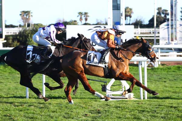 Photo d'arrivée de la course pmu PRIX DE MOUGINS à CAGNES-SUR-MER le Mercredi 4 février 2026