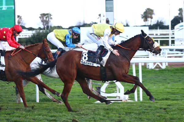 Photo d'arrivée de la course pmu PRIX MARILDO à CAGNES-SUR-MER le Mercredi 4 février 2026