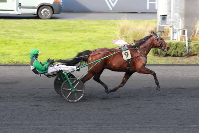 Arrivée quinté pmu PRIX DE DURTAL LES RAIRIES à PARIS-VINCENNES