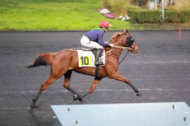 Photo d'arrivée de la course pmu PRIX DE RETHEL à PARIS-VINCENNES le Jeudi 5 février 2026
