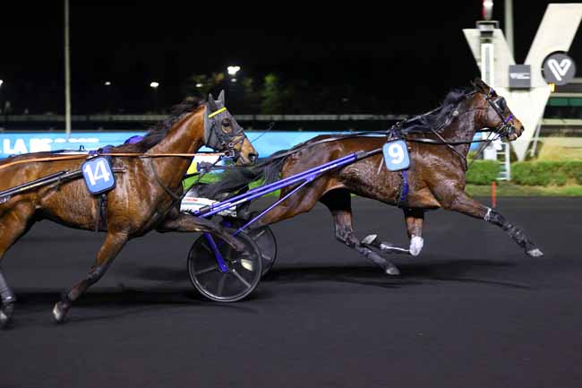 Arrivée quinté pmu PRIX GUY DE LA BROSSE à PARIS-VINCENNES