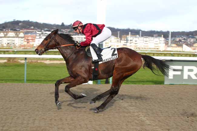 Photo d'arrivée de la course pmu PRIX DU CHENE A GUILLOTIN à DEAUVILLE le Vendredi 6 février 2026