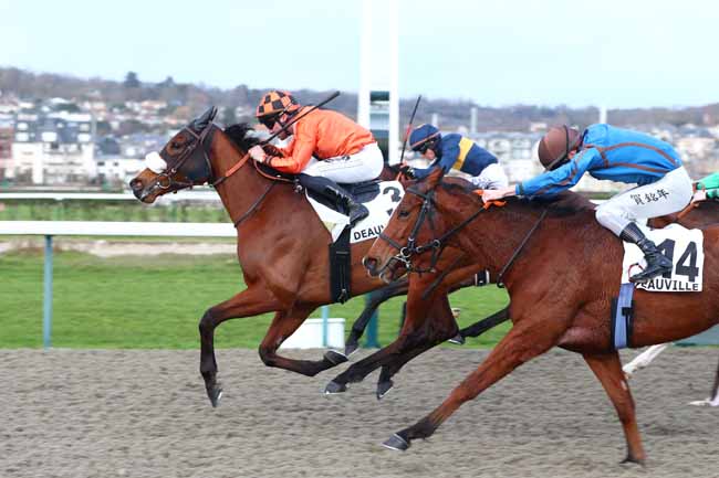 Photo d'arrivée de la course pmu PRIX DU CHENE D'ALLOUVILLE à DEAUVILLE le Vendredi 6 février 2026
