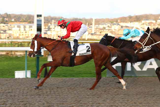 Photo d'arrivée de la course pmu PRIX DU GROS-CHENE DE LIERNU à DEAUVILLE le Vendredi 6 février 2026