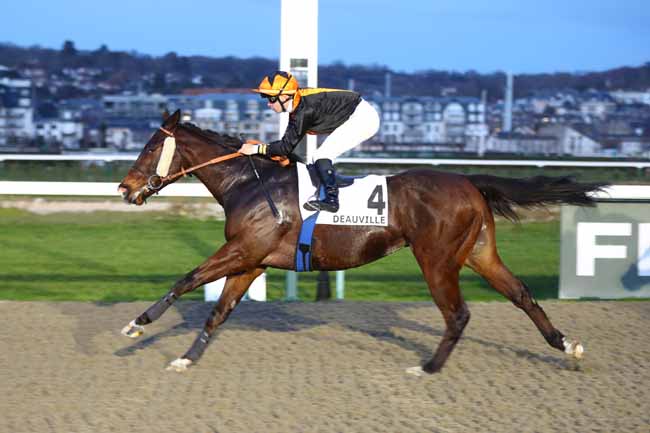 Photo d'arrivée de la course pmu PRIX DU CHATEAU D'OLIVET à DEAUVILLE le Vendredi 6 février 2026
