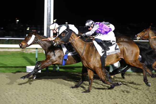 Photo d'arrivée de la course pmu PRIX DE LA FORET DE GRIMBOSQ à DEAUVILLE le Vendredi 6 février 2026