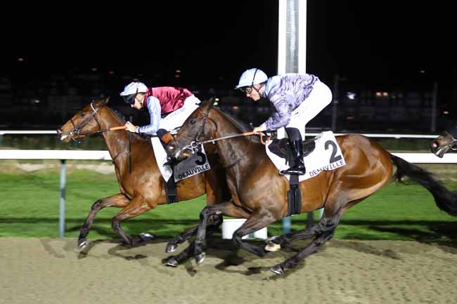 Photo d'arrivée de la course pmu PRIX PRIOLO à DEAUVILLE le Vendredi 6 février 2026
