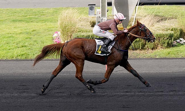 Photo d'arrivée de la course pmu PRIX DE RAMBOUILLET à PARIS-VINCENNES le Samedi 7 février 2026