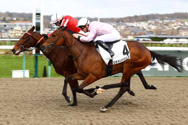 Photo d'arrivée de la course pmu PRIX DU NICE HAVRAIS à DEAUVILLE le Samedi 7 février 2026