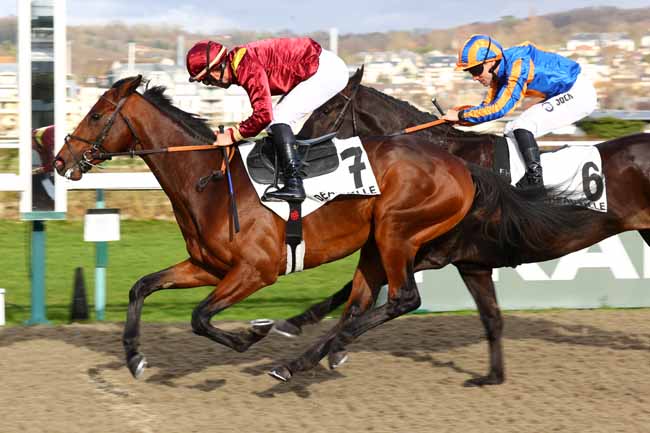 Photo d'arrivée de la course pmu PRIX DE SAINTE-ADRESSE à DEAUVILLE le Samedi 7 février 2026