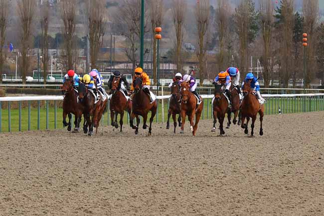 Photo d'arrivée de la course pmu PRIX DES GENTILHOMMIERES à DEAUVILLE le Samedi 7 février 2026
