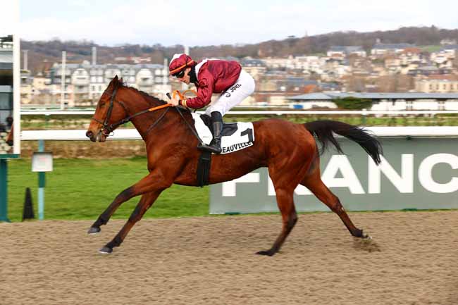 Photo d'arrivée de la course pmu PRIX DU CARREFOUR CHARLET à DEAUVILLE le Samedi 7 février 2026