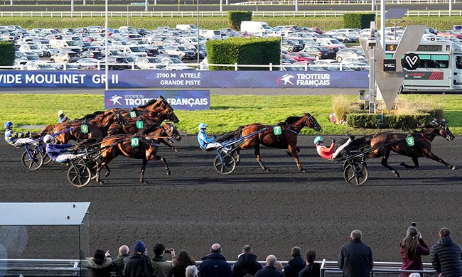 Photo d'arrivée de la course pmu PRIX OVIDE MOULINET à PARIS-VINCENNES le Dimanche 8 février 2026