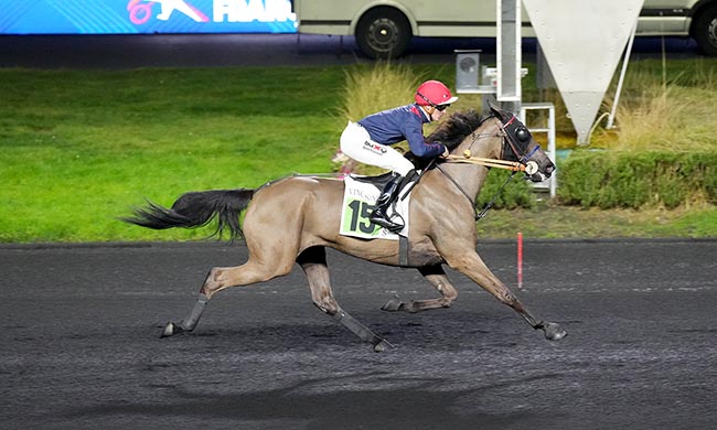 Photo d'arrivée de la course pmu PRIX DE BOUGUENAIS à PARIS-VINCENNES le Dimanche 8 février 2026