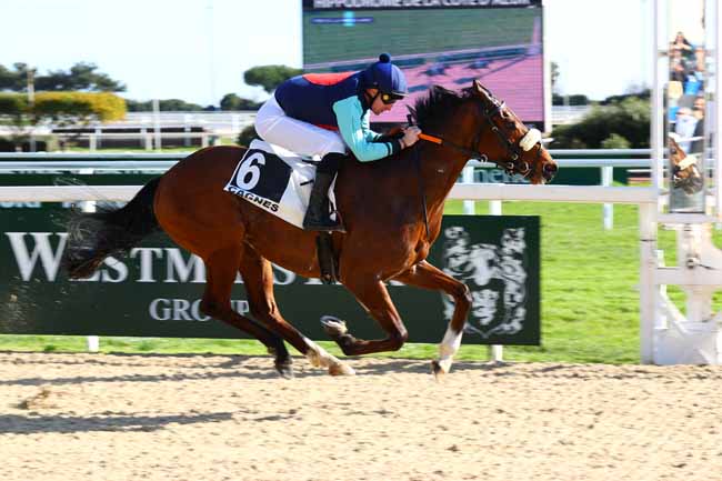 Photo d'arrivée de la course pmu PRIX DE LA MARJOLAINE à CAGNES-SUR-MER le Lundi 9 février 2026