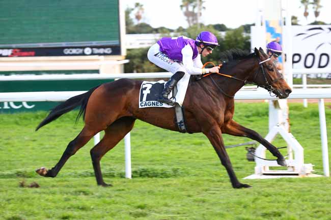 Photo d'arrivée de la course pmu PRIX LORD DU SUD à CAGNES-SUR-MER le Lundi 9 février 2026