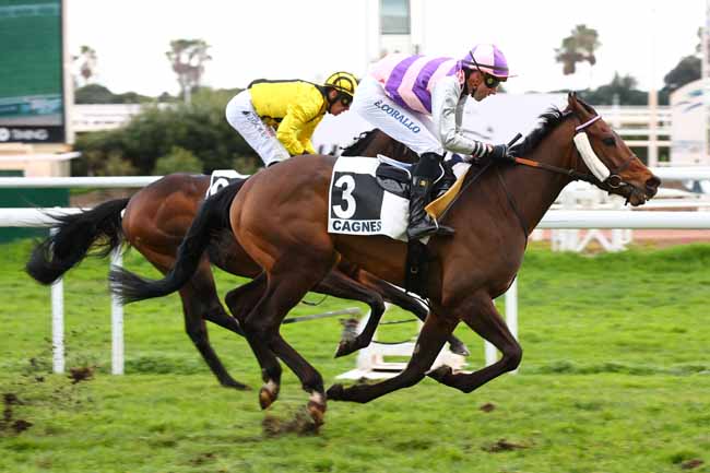 Photo d'arrivée de la course pmu PRIX PECKINPAH'S SOUL à CAGNES-SUR-MER le Lundi 9 février 2026