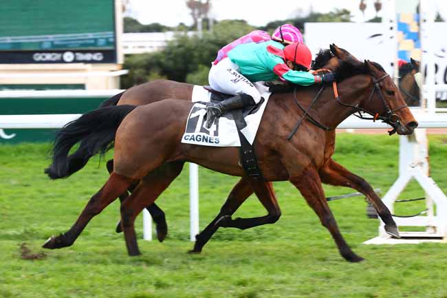 Photo d'arrivée de la course pmu PRIX DU GARD à CAGNES-SUR-MER le Lundi 9 février 2026