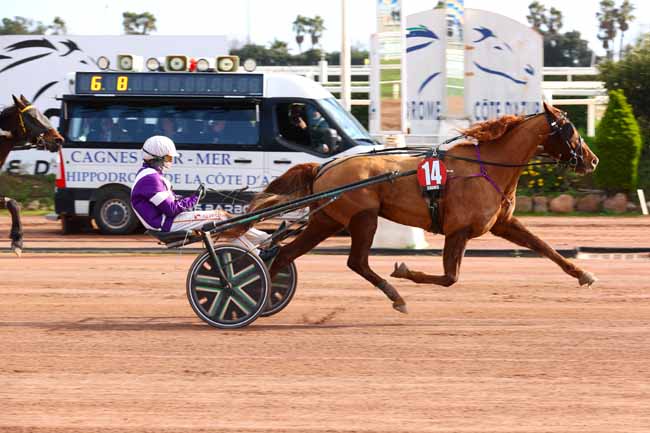 Arrivée quinté pmu PRIX JULES ROUCAYROL à CAGNES-SUR-MER