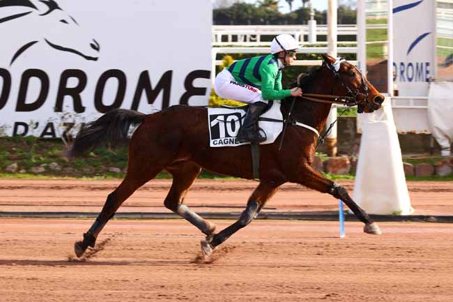 Photo d'arrivée de la course pmu PRIX SCARLET TURGOT à CAGNES-SUR-MER le Jeudi 12 février 2026