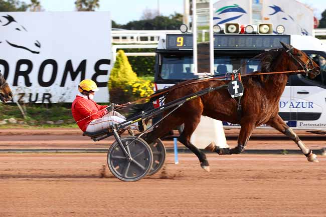 Photo d'arrivée de la course pmu PRIX DE SETUBAL à CAGNES-SUR-MER le Jeudi 12 février 2026