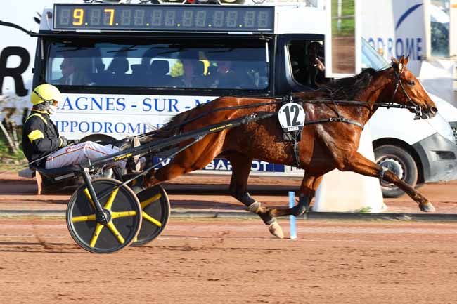Photo d'arrivée de la course pmu PRIX HENRI CALLIER à CAGNES-SUR-MER le Jeudi 12 février 2026