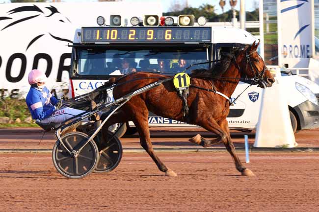 Photo d'arrivée de la course pmu PRIX DE PORTO à CAGNES-SUR-MER le Jeudi 12 février 2026