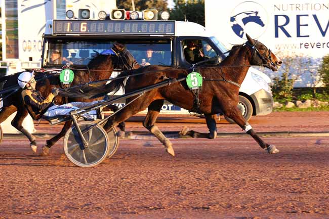 Photo d'arrivée de la course pmu PRIX DE LODEVE à CAGNES-SUR-MER le Jeudi 12 février 2026