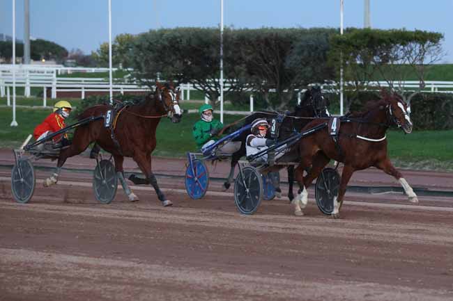 Photo d'arrivée de la course pmu PRIX DE GOLEGA à CAGNES-SUR-MER le Jeudi 12 février 2026