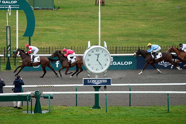 Photo d'arrivée de la course pmu PRIX CRICKET BALL à CHANTILLY le Jeudi 12 février 2026