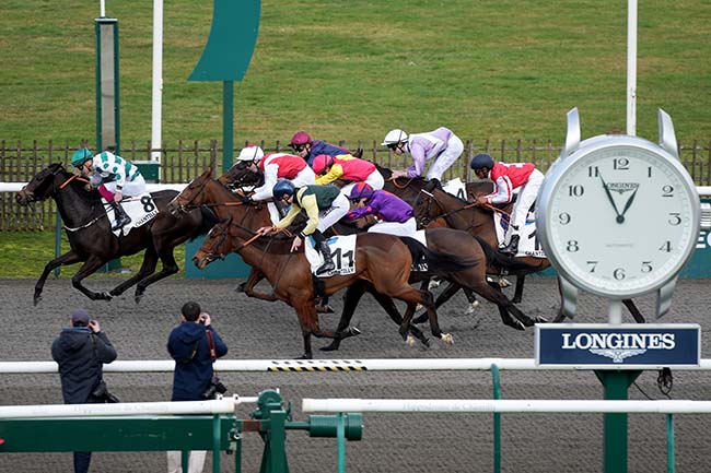 Photo d'arrivée de la course pmu PRIX MAXIME GARCIA à CHANTILLY le Jeudi 12 février 2026
