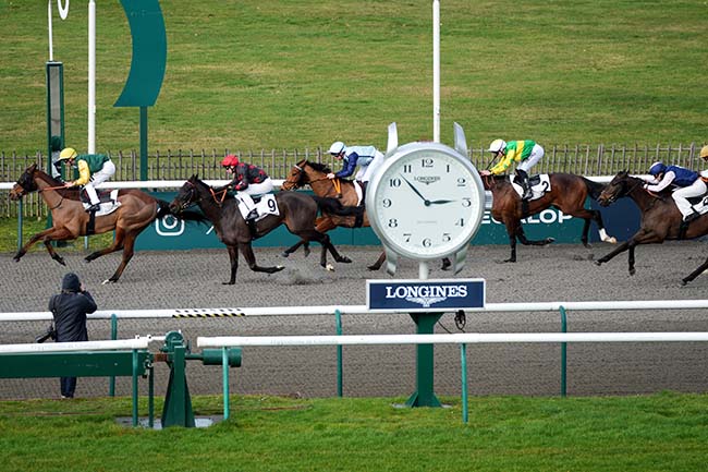 Photo d'arrivée de la course pmu PRIX DU CARREFOUR PAPILLON à CHANTILLY le Jeudi 12 février 2026