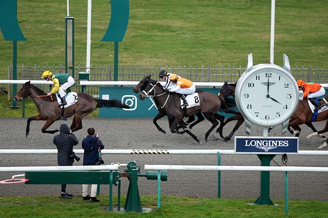 Photo d'arrivée de la course pmu PRIX DU CARREFOUR LAVERSIN à CHANTILLY le Jeudi 12 février 2026