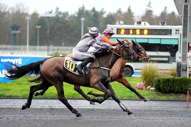 Photo d'arrivée de la course pmu PRIX HOLLY DU LOCTON à PARIS-VINCENNES le Vendredi 13 février 2026